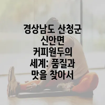 경상남도 산청군 신안면 커피원두의 세계: 품질과 맛을 찾아서
