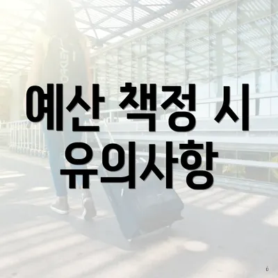 예산 책정 시 유의사항