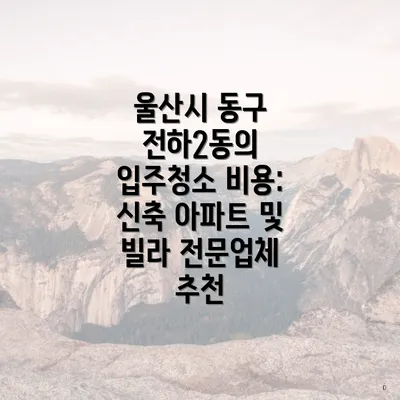 울산시 동구 전하2동의 입주청소 비용: 신축 아파트 및 빌라 전문업체 추천