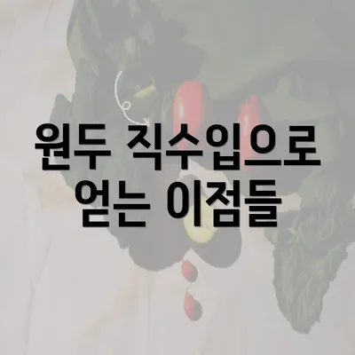 원두 직수입으로 얻는 이점들