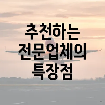 추천하는 전문업체의 특장점