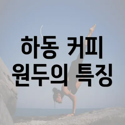 하동 커피 원두의 특징