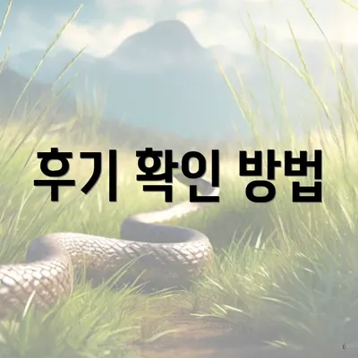 후기 확인 방법
