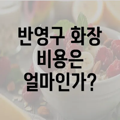 반영구 화장 비용은 얼마인가?