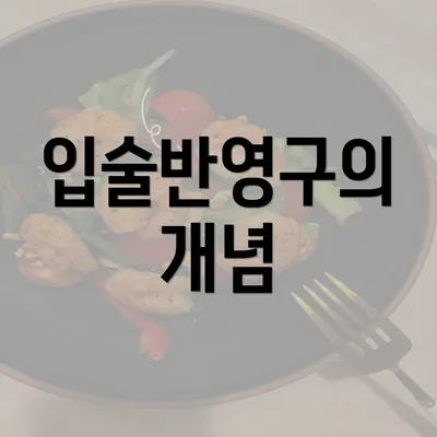 입술반영구의 개념