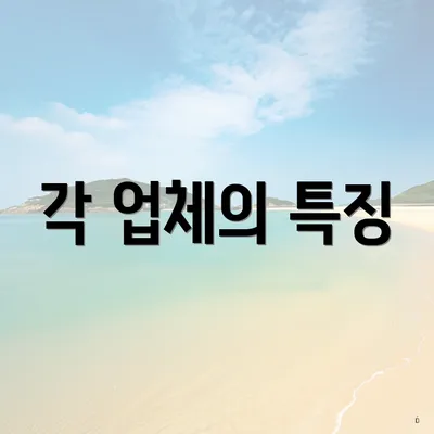 각 업체의 특징