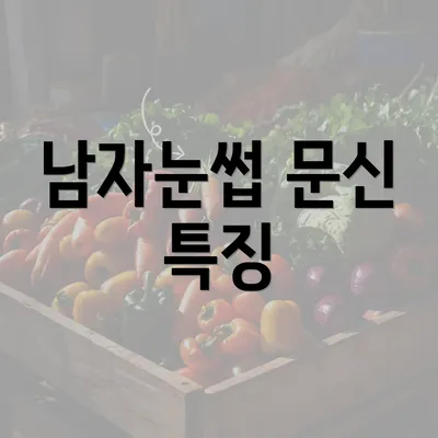 남자눈썹 문신 특징