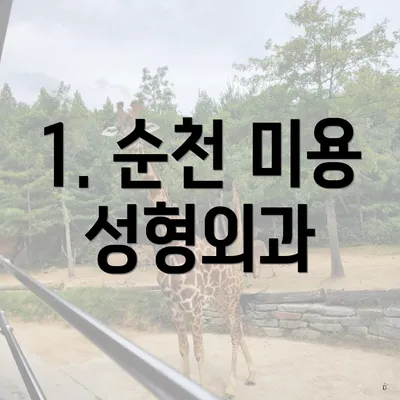 1. 순천 미용 성형외과