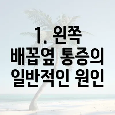 1. 왼쪽 배꼽옆 통증의 일반적인 원인