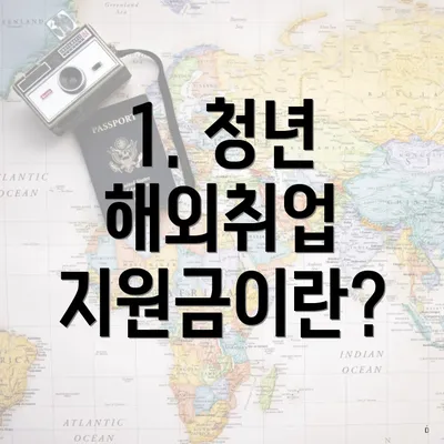 1. 청년 해외취업 지원금이란?