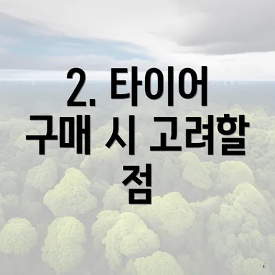 2. 타이어 구매 시 고려할 점