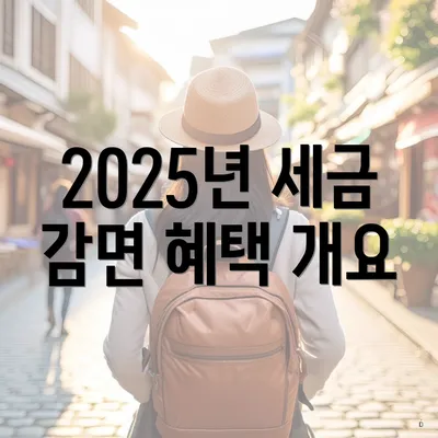 2025년 세금 감면 혜택 개요