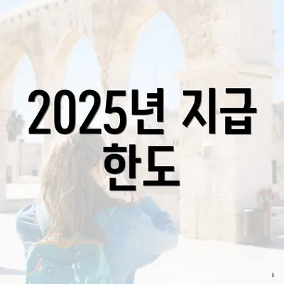 2025년 지급 한도