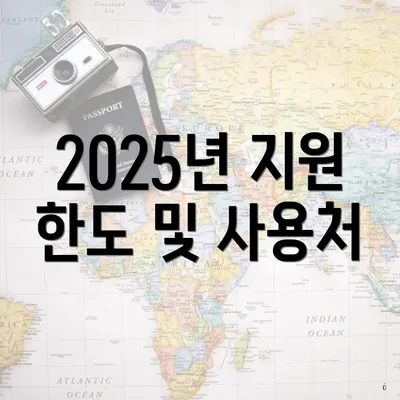 2025년 지원 한도 및 사용처