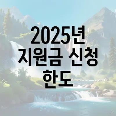 2025년 지원금 신청 한도