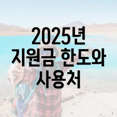 2025년 지원금 한도와 사용처