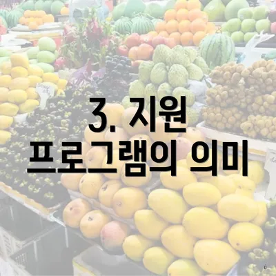 3. 지원 프로그램의 의미