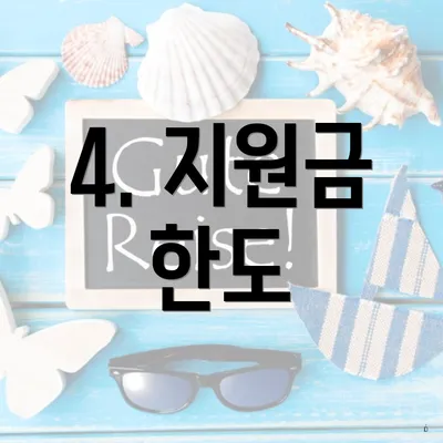 4. 지원금 한도