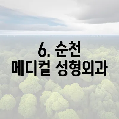 6. 순천 메디컬 성형외과