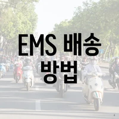 EMS 배송 방법