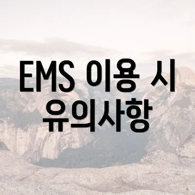 EMS 이용 시 유의사항