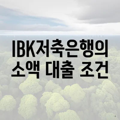 IBK저축은행의 소액 대출 조건