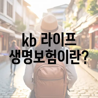 kb 라이프 생명보험이란?