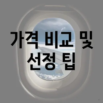 가격 비교 및 선정 팁
