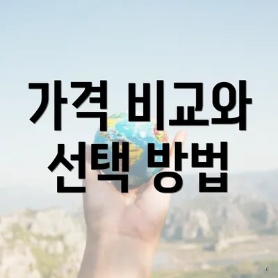 가격 비교와 선택 방법