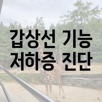 갑상선 기능 저하증 진단