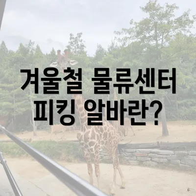 겨울철 물류센터 피킹 알바란?