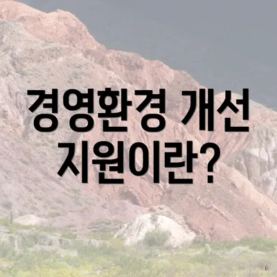 경영환경 개선 지원이란?