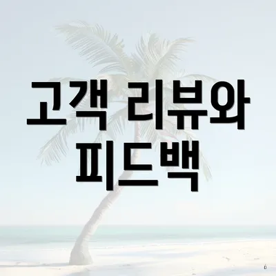 고객 리뷰와 피드백