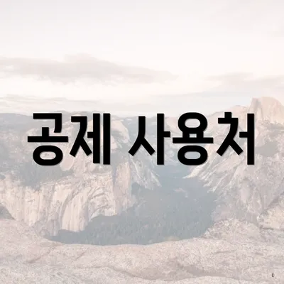 공제 사용처