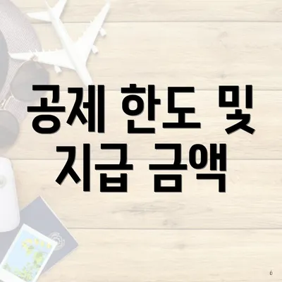 공제 한도 및 지급 금액