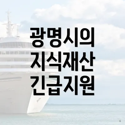 광명시의 지식재산 긴급지원