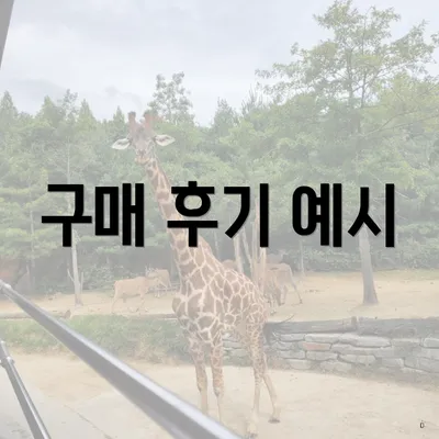 구매 후기 예시