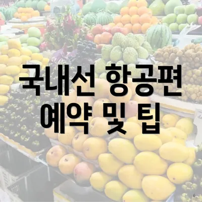 국내선 항공편 예약 및 팁