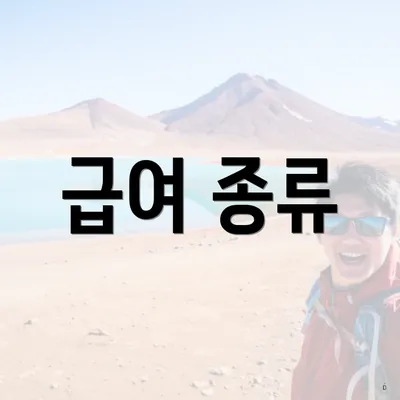 급여 종류