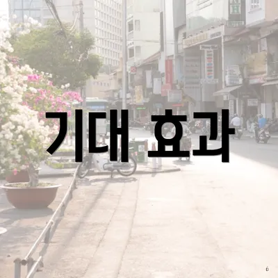 기대 효과