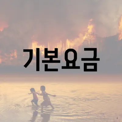 기본요금