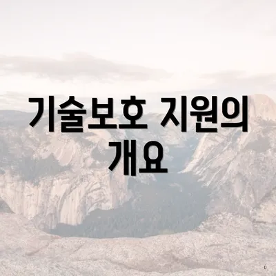 기술보호 지원의 개요