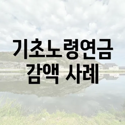 기초노령연금 감액 사례