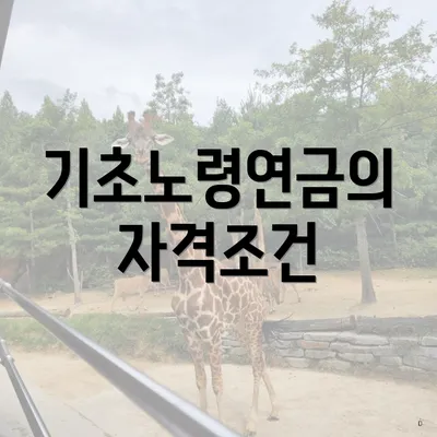 기초노령연금의 자격조건