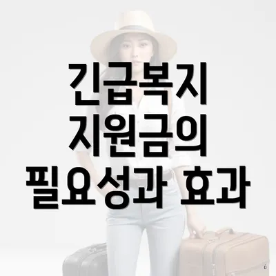 긴급복지 지원금의 필요성과 효과