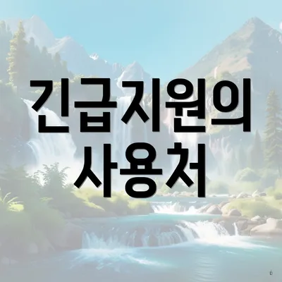 긴급지원의 사용처