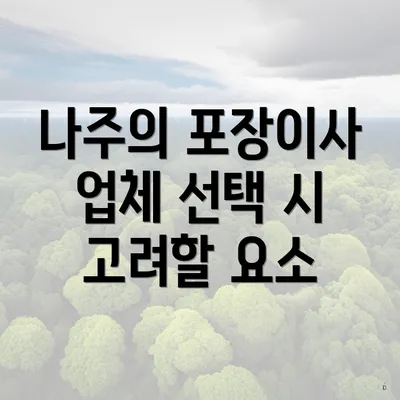 나주의 포장이사 업체 선택 시 고려할 요소
