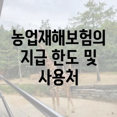 농업재해보험의 지급 한도 및 사용처