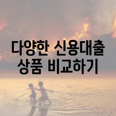 다양한 신용대출 상품 비교하기