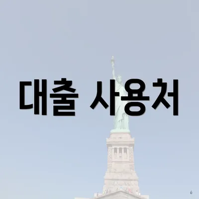 대출 사용처